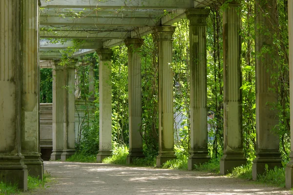 Colonnade in park — Stock Photo, Image