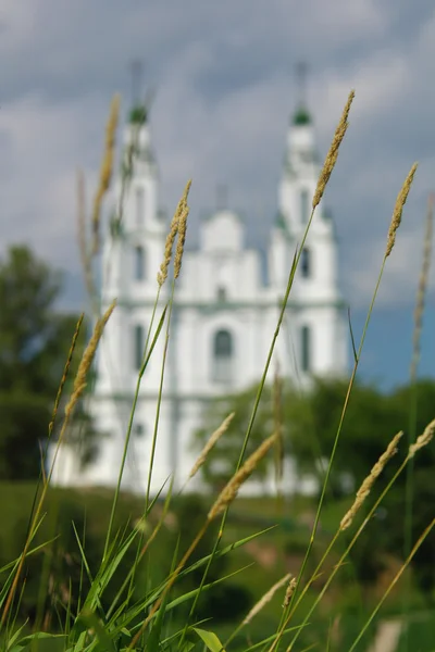 Grass on cathedral background — Stock Photo, Image