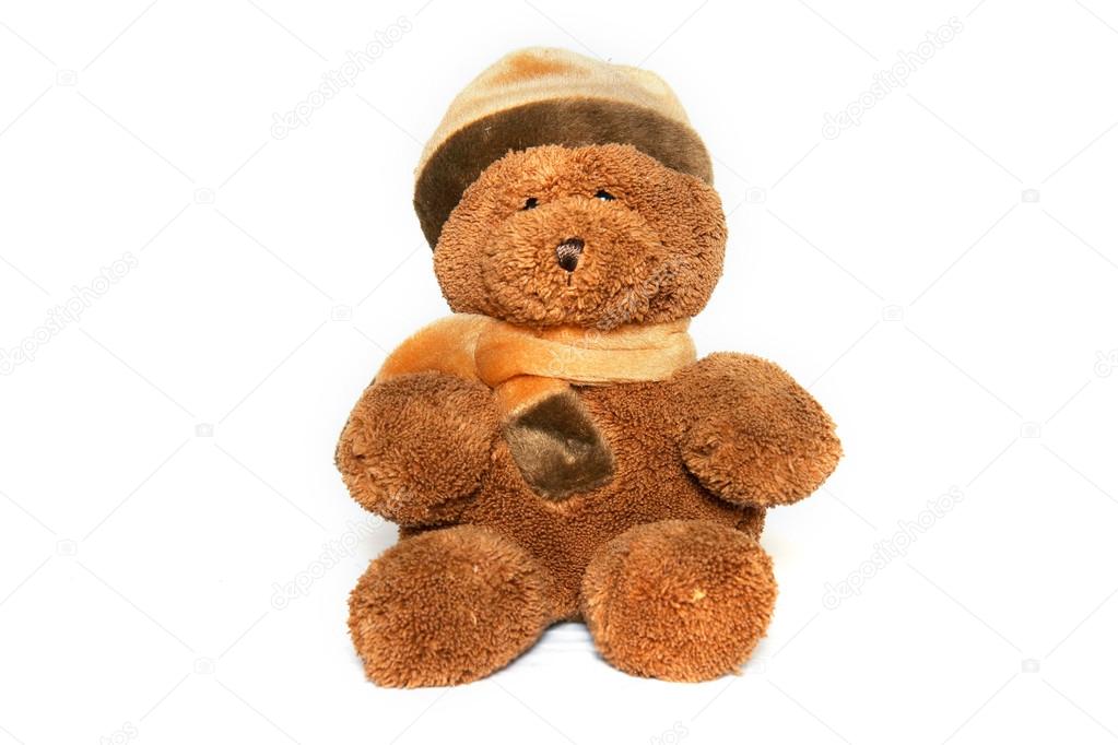 teddybear over white
