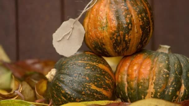Pompoenen op rustieke houten achtergrond, aautumn, thanksgiving, halloween of oogst concept — Stockvideo