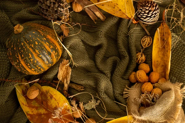 Φθινοπωρινό φόντο με φύλλα, αποξηραμένο γρασίδι, κολοκύθα, καρύδια σε πλεκτή κουβέρτα, φθινοπωρινή διάθεση, γεια έννοια φθινόπωρο — Φωτογραφία Αρχείου