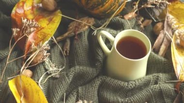 Yapraklar, kurumuş çimenler, balkabağı, ceviz ve çay fincanı örgü örülmüş battaniye, sonbahar havası, merhaba sonbahar konsepti