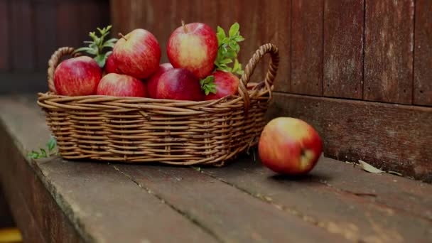 Maçãs frescas vermelhas e amarelas no fundo natural ao ar livre, alimentação saudável, colheita de outono, agricultura — Vídeo de Stock
