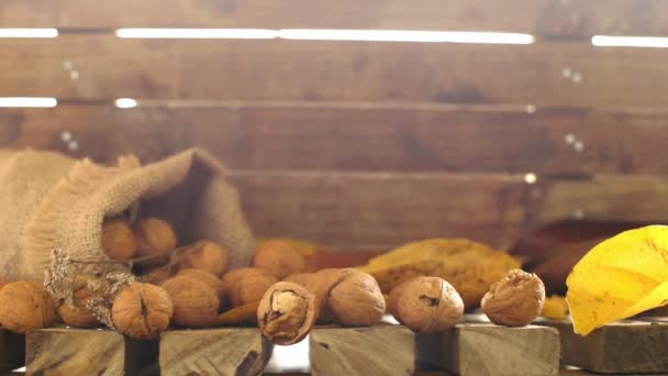 Τσάντα καμβά με καρύδια σε ξύλινο φόντο, έννοια συγκομιδή φθινόπωρο, υγιεινά τρόφιμα, Ευχαριστίες και φόντο πτώση — Αρχείο Βίντεο