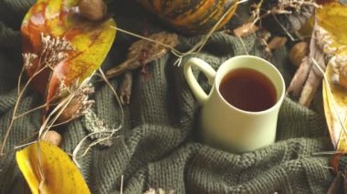 Yapraklar, kurumuş çimenler, balkabağı, ceviz ve çay fincanı örgü örülmüş battaniye, sonbahar havası, merhaba sonbahar konsepti