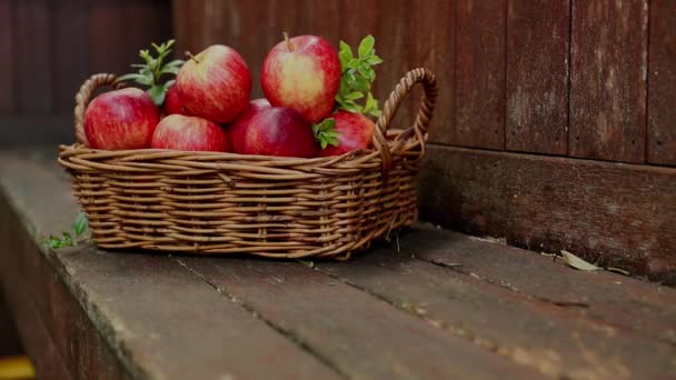 Czerwone Żółte Świeże Jabłka Naturalnym Tle Świeżym Powietrzu Zdrowe Odżywianie — Wideo stockowe