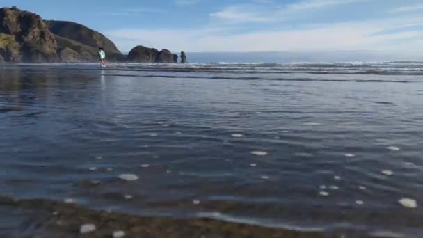 파도와 물로 이루어진 바 다 풍경, 새로운 광신자와 해변 경치, 목적지 — 비디오