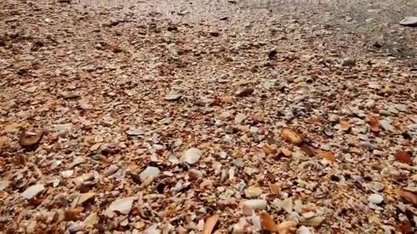 Fale wodne na plaży piaszczystej, destynacja turystyczna, koncepcja ochrony wód — Wideo stockowe