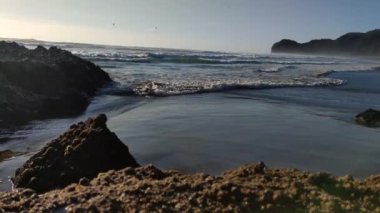 Dalgalar ve su ile deniz manzarası, Yeni Zelanda plaj manzarası, yolculuk hedefi