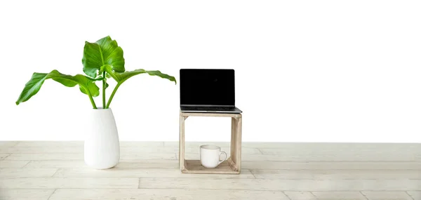 Verse groene plant met grote bladeren in witte vaas en laptop op houten vloer geïsoleerd over witte achtergrond, milieuvriendelijk concept, thuiswerk, technische veiligheid — Stockfoto