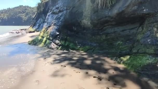 Praia de areia vazia vista com rochas e água, litoral, destino turístico, litoral remoto, Nova Zelândia, praia de Auckland, orientação horizontal — Vídeo de Stock