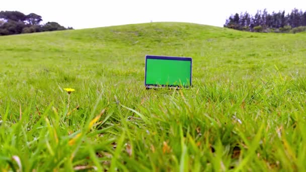 Ordenador portátil con pantalla verde sobre fondo natural, tecnologías modernas, aprendizaje a distancia, trabajo en línea — Vídeo de stock