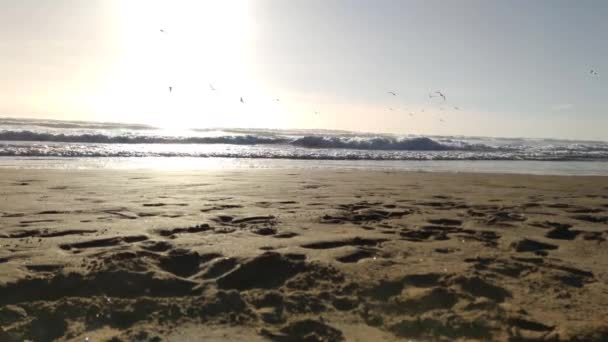 Paisagem marítima com ondas e água, nova zelândia vista para a praia, destino de viagem — Vídeo de Stock