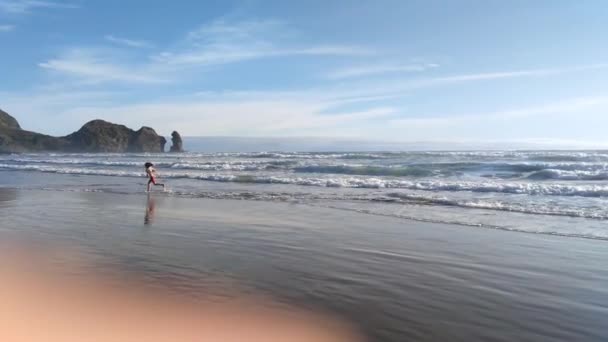 Paisagem marítima com ondas e água, nova zelândia vista para a praia, destino de viagem — Vídeo de Stock