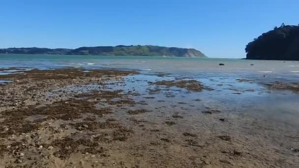 Prázdný písečný výhled na pláž se skalami a vodou, pobřeží, turistické destinace, vzdálené pobřeží, Nový Zéland, pláž Auckland, horizontální orientace — Stock video
