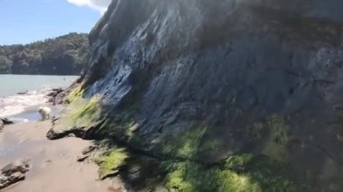 boş kumlu sahil manzarası kayalar ve su, deniz kıyısı, turistik yer, uzak kıyı şeridi, Yeni Zelanda, Auckland plajı, yatay oryantasyon