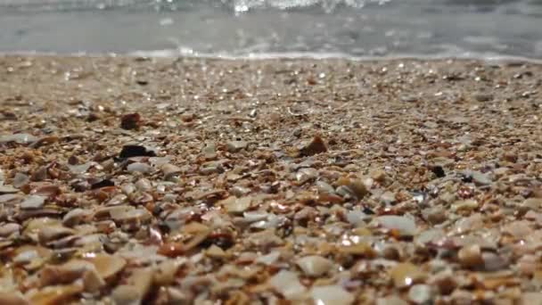 Watergolven op zandstrand, toeristische bestemming, watervoorzieningsconcept — Stockvideo