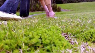 Doğal arka planda yeşil ekranlı dizüstü bilgisayar, modern teknoloji, uzak öğrenme, çevrimiçi çalışma