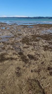 boş kumlu sahil manzarası kayalar ve su, deniz kıyısı, turizm beldesi, uzak kıyı şeridi, Yeni Zelanda, Auckland plajı, dikey oryantasyon