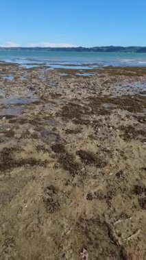 boş kumlu sahil manzarası kayalar ve su, deniz kıyısı, turistik yer, uzak kıyı şeridi, Yeni Zelanda, Auckland plajı, yatay oryantasyon