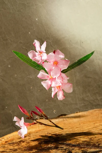 粉色鲜花飘落在天然木制背景之上 春天或开花的概念 流行的飘扬照片适合花店 护肤产品 高质量的照片 — 图库照片