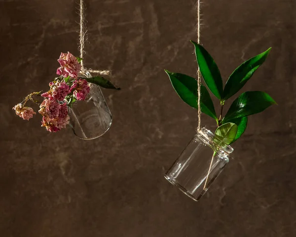 Suszonych Lub Zakonserwowanych Kwiatów Świeżych Roślin Szklanych Butelkach Wiszących Wiekowym — Zdjęcie stockowe