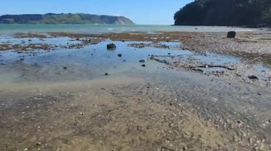 boş kumlu sahil manzarası kayalar ve su, deniz kıyısı, turistik yer, uzak kıyı şeridi, Yeni Zelanda, Auckland plajı, yatay oryantasyon
