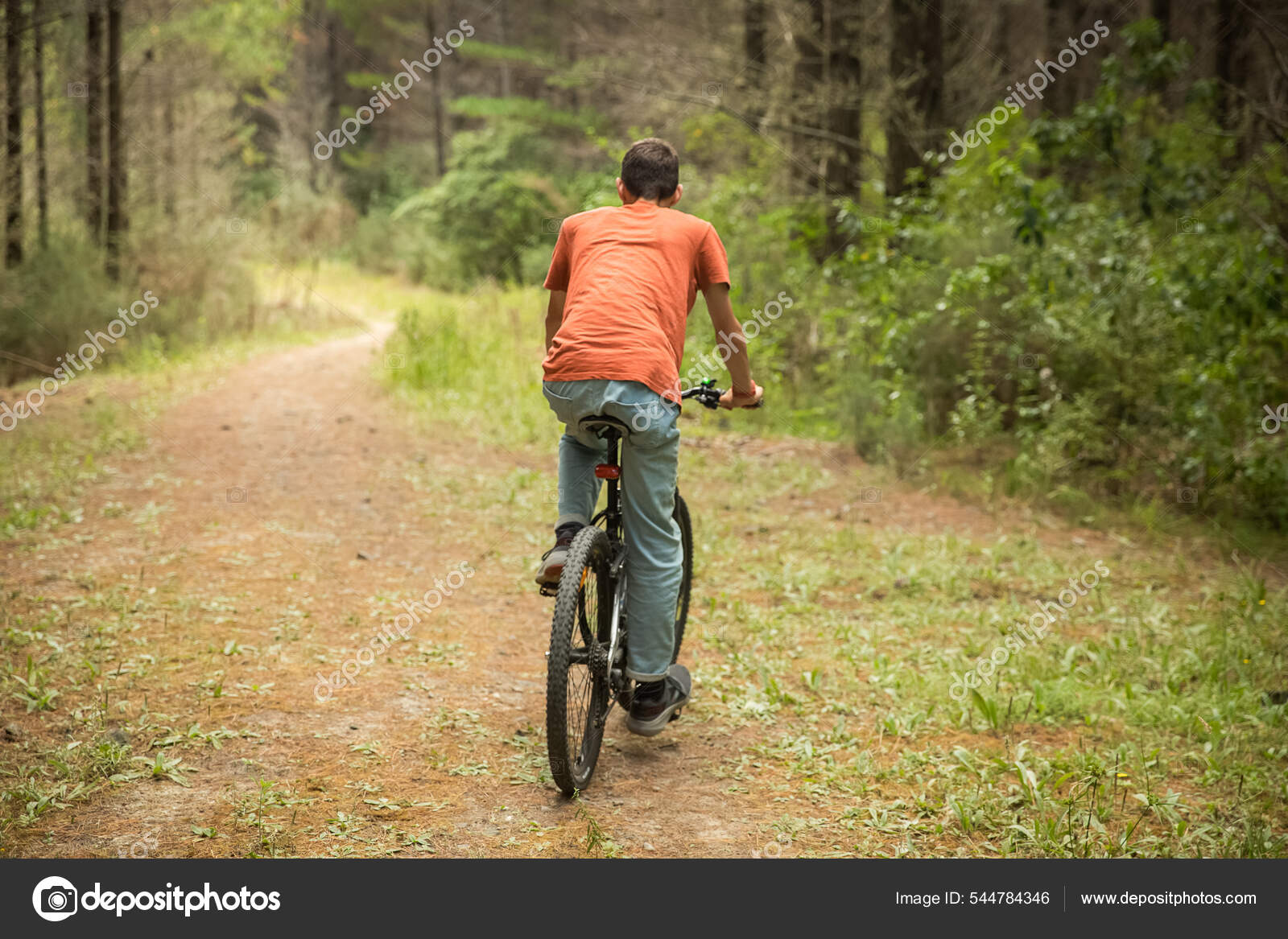 Happy Little Boy Riding a Bike Stock Image - Image of lifestyle