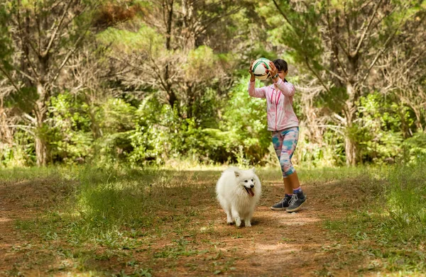 森や公園の自然を背景にかわいいふわふわの日本の子犬と一緒にボールを遊んでいる女の子 高品質の写真 — ストック写真
