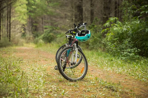 Két Mountain Bike Természetes Háttérrel Erdővel Vagy Parkkal Egészséges Életmód — Stock Fotó