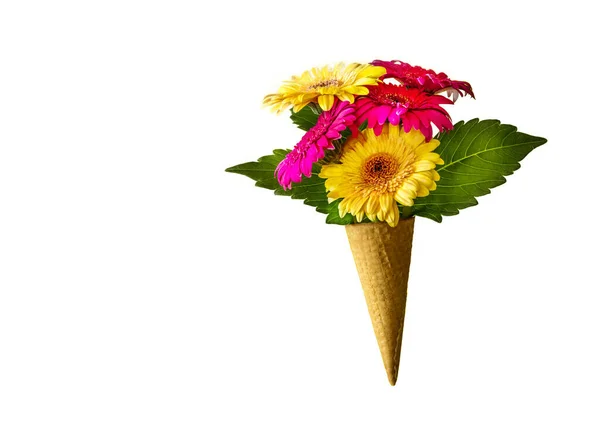 Fresh Flowers Sweet Waffle Cone Ice Cream Isolated White Background — Stock Photo, Image