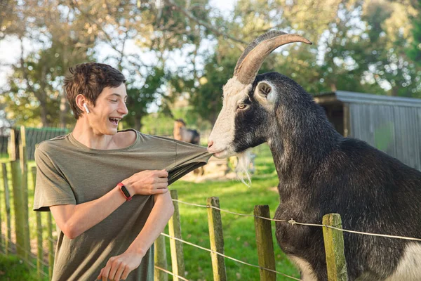Kids Feeding Goat Green Grass Farmyard Lawn Countryside Village Environment — Stockfoto