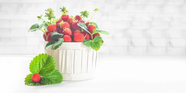 Raw Freshly Picked Strawberry Basket White Background High Quality Photo — Stock Photo, Image