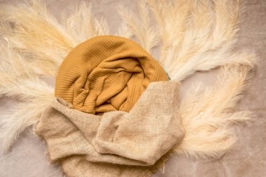 Yeni doğan bebek fotoğrafçılığı, yeni doğan fotoğraf setleri ve dekorasyonlar için dijital arkaplan ya da arka plan. Yüksek kalite fotoğraf