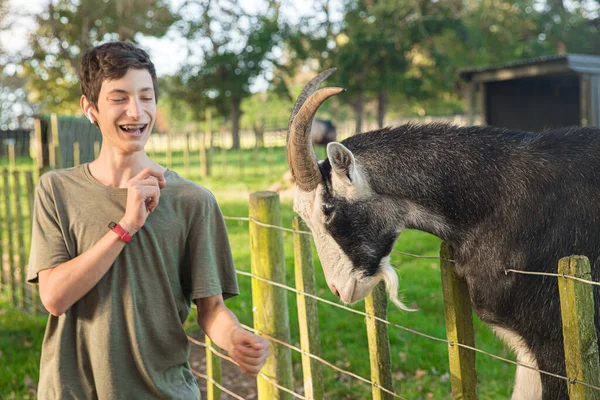 Kids Feeding Goat Green Grass Farmyard Lawn Countryside Village Environment — Stock Photo, Image