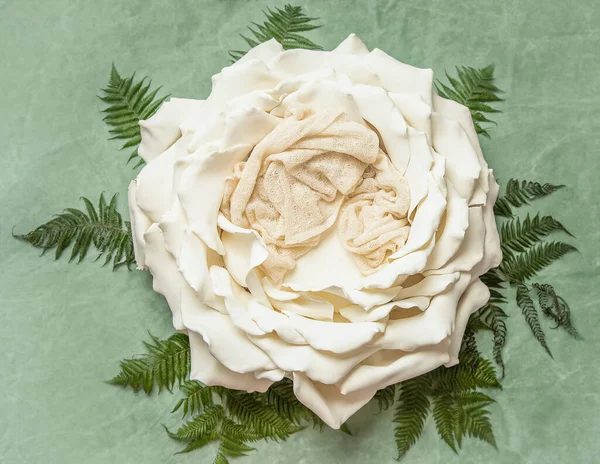 Big White Flower Digital Backdrop Background Newborn Baby Photography Newborn —  Fotos de Stock