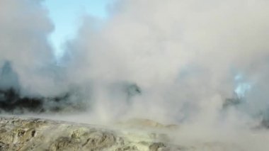 Te Pui Pohuta gayzeri jeotermal volkanik park Rotorua Yeni Zelanda 'da. Yüksek kaliteli FullHD görüntüler