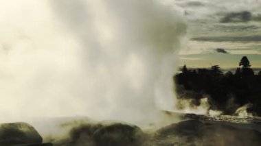 Te Pui Pohuta gayzeri jeotermal volkanik park Rotorua Yeni Zelanda 'da. Yüksek kaliteli FullHD görüntüler