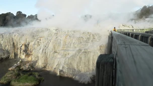 Gejzer Pui Pohuta Geotermalnym Wulkanicznym Parku Rotorua Nowa Zelandia Wysokiej — Wideo stockowe