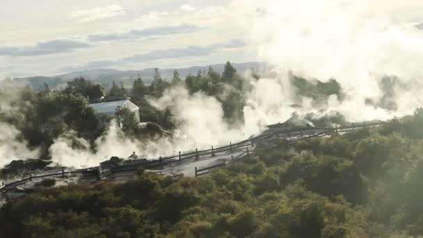 Pui Pohuta Geyser Στο Γεωθερμικό Ηφαιστειακό Πάρκο Rotorua Της Νέας — Αρχείο Βίντεο