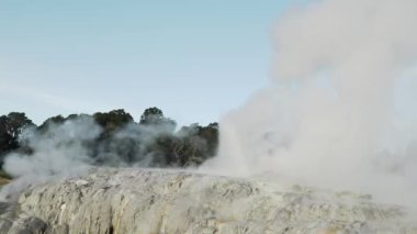 Te Pui Pohuta gayzeri jeotermal volkanik park Rotorua Yeni Zelanda 'da. Yüksek kaliteli FullHD görüntüler