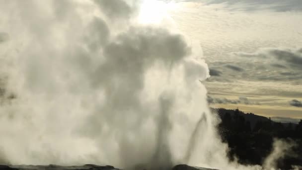 Geiser Pui Pohuta Parque Volcánico Geotermal Rotorua Nueva Zelanda Imágenes — Vídeos de Stock