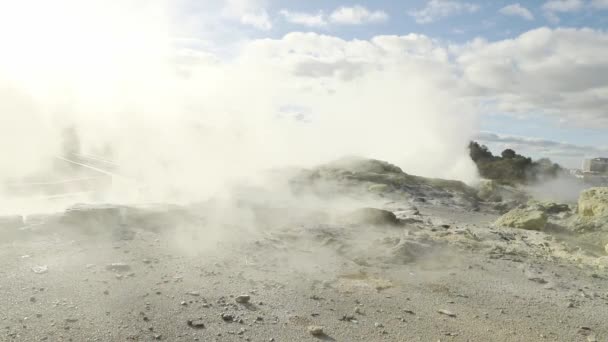 地熱火山公園内のテ ポウタ間欠泉 Rotua New Zealand 高品質のフルHd映像 — ストック動画