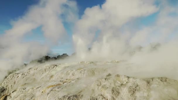 공원인 로토루아 뉴질랜드 Pui Pohuta Geyser 질높은 Fullhd — 비디오