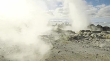 Te Pui Pohuta gayzeri jeotermal volkanik park Rotorua Yeni Zelanda 'da. Yüksek kaliteli FullHD görüntüler