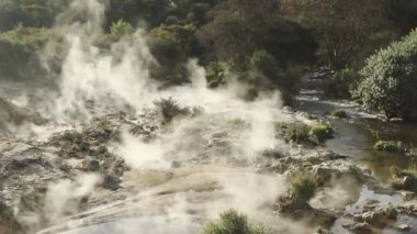 Te Pui Pohuta gayzeri jeotermal volkanik park Rotorua Yeni Zelanda 'da. Yüksek kaliteli FullHD görüntüler