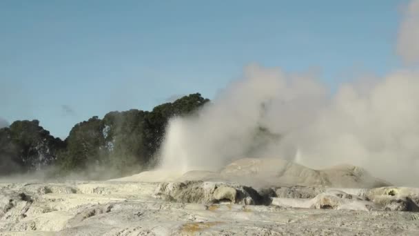 Pui Pohuta Geyser Στο Γεωθερμικό Ηφαιστειακό Πάρκο Rotorua Της Νέας — Αρχείο Βίντεο