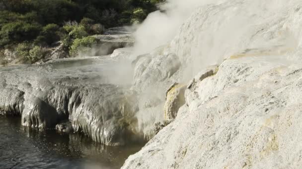 Pui Pohuta Geyser Nel Parco Vulcanico Geotermico Rotorua Nuova Zelanda — Video Stock