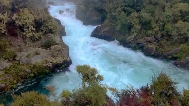 フカの川の急流はタウポやロトルア北島のニュージーランドに近く 木がある風景です 高品質の写真 — ストック動画
