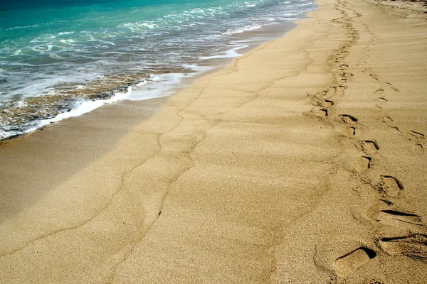 Pistes de deux sur une plage tropicale isolée — Photo